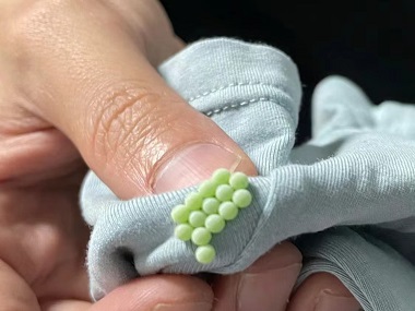 九江消杀四害中心科学防治：三步走彻底除臭虫