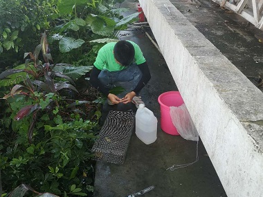 桂城病媒生物防控所——蛇的弱点是什么