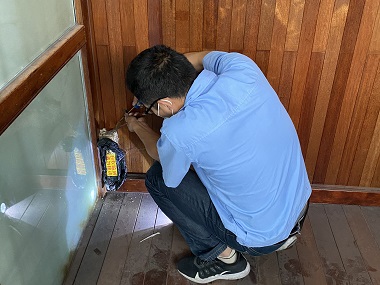 黄岐灭除白蚁所5个实用技巧,拒绝白蚁找上门