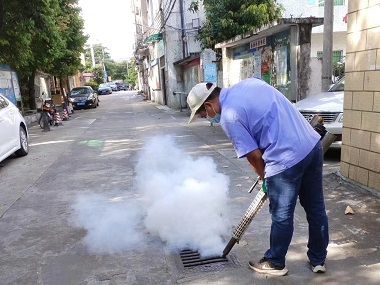 佛山小塘登革热高发！除四害预防“两热”关键在灭蚊